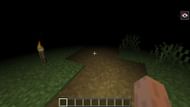 Blindess can be scary (Image via Mojang)
